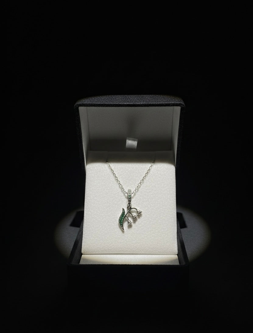 Selected Variant Image