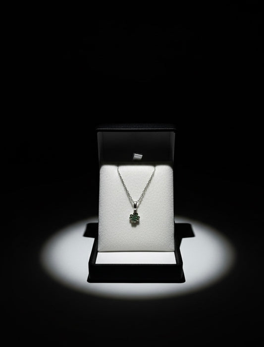 Şans yoncası minimal kolye çarpıcı not ve kutulu