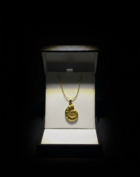 Kendime deniz kabuğu kolye çarpıcı not ve kutulu